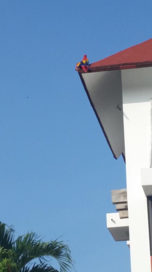 Hotel Canada Internacional Palenque Dış mekan fotoğraf